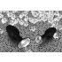 You2Toys - Diamond - silikonski analni čep (mali)