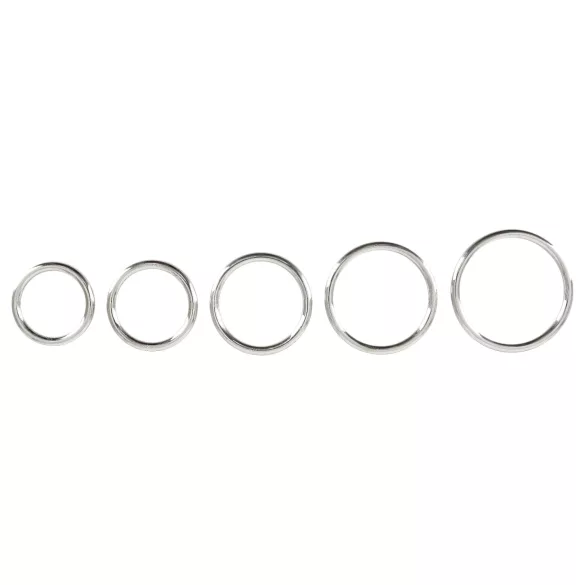 Bad Kitty - set metalnih prstenova za penis (5 delova)