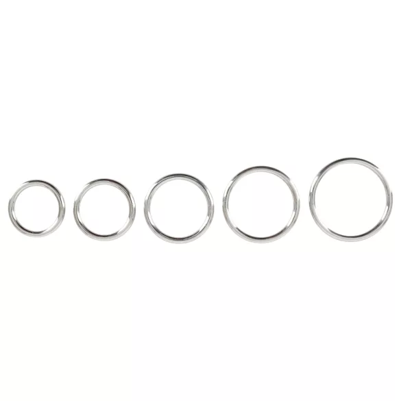 Bad Kitty - set metalnih prstenova za penis (5 delova)