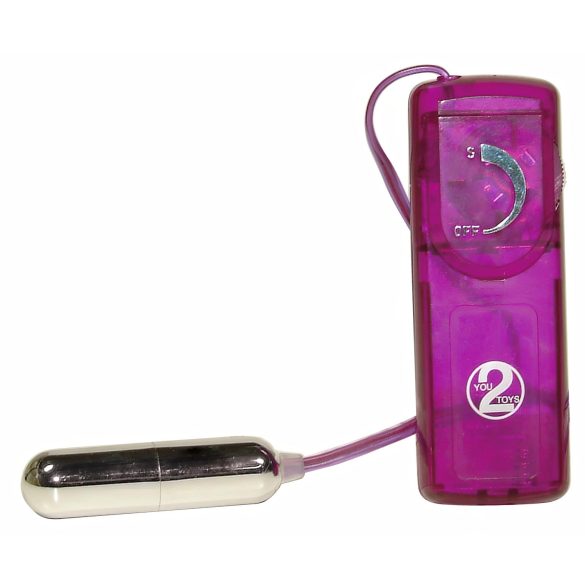 You2Toys - Erotska iznenađenja - set vibratora (12 delova)