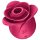 Satisfyer Pro 2 Rose - revolucionarni klitoralni stimulator (crveni)