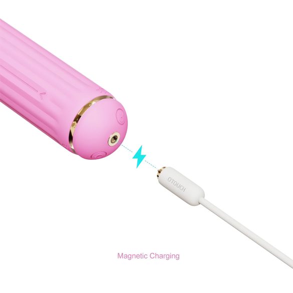Magic Stick vibrator sa zamenljivim nastavcima (pink)