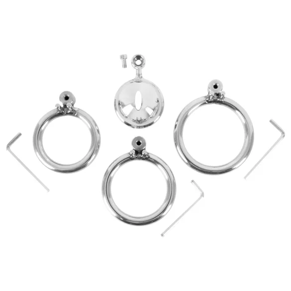 Fetish Collection - mini kavez za penis sa 3 zamenljiva prstena za testise (srebrni)