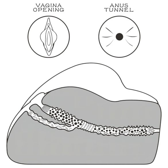 Lovetoy Streetgirl's - prirodan torzo sa vaginom i anusom