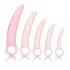 CalExotics Inspire - Set za vežbanje vaginalnih mišića (roze)