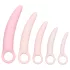 CalExotics Inspire - Set za vežbanje vaginalnih mišića (roze)