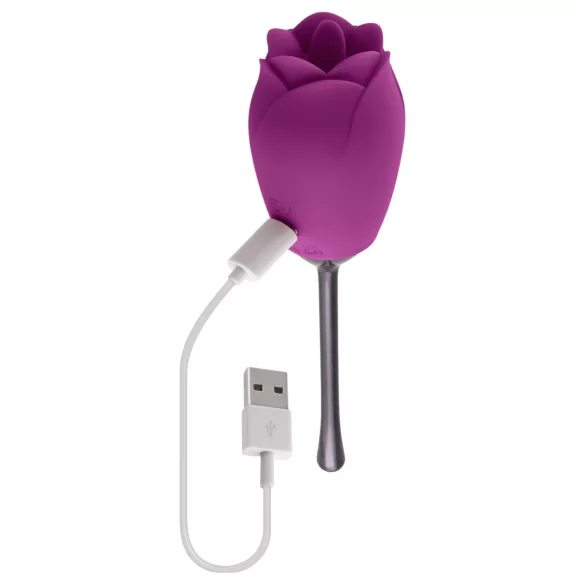 Playboy - vodootporni vibrator s jezikom u obliku ruže na punjenje (ljubičasti)