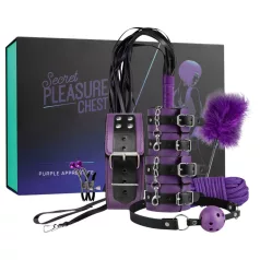 Secret Pleasure Chest - napredni BDSM set (14 delova)