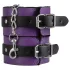 Secret Pleasure Chest - napredni BDSM set (14 delova)