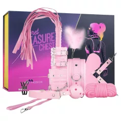 Secret Pleasure Chest - napredni BDSM set - 14 delova (pink)