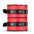 Secret Pleasure Chest - napredni BDSM set - 10 delova (crveni)