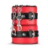 Secret Pleasure Chest - napredni BDSM set - 10 delova (crveni)