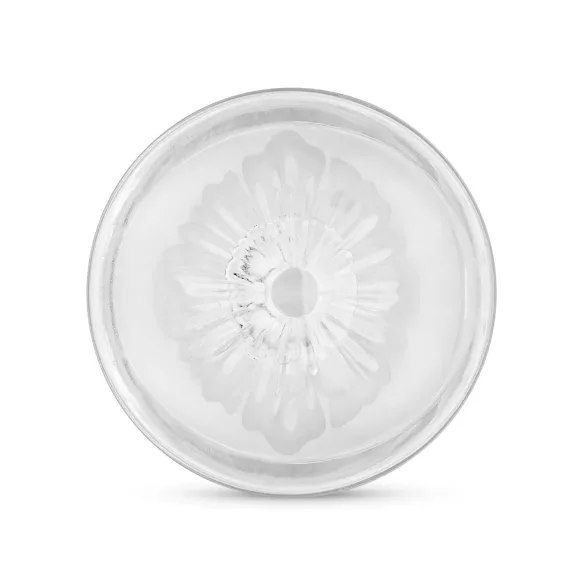 FPPR. - dvostrani masturbator - vagina & anus (providno)